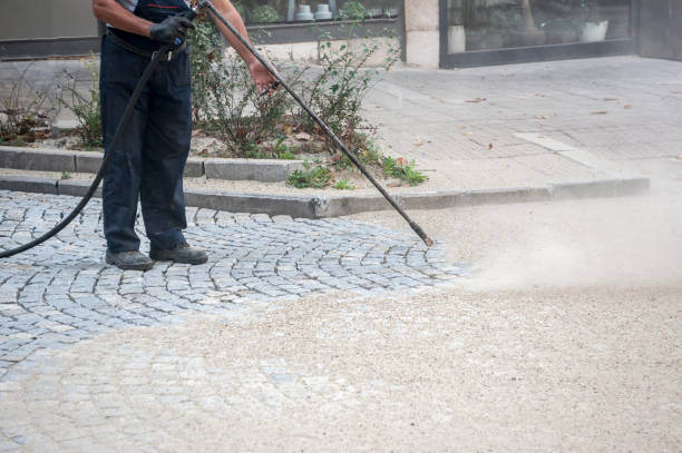 Best Roof Washing  in Timber Pines, FL