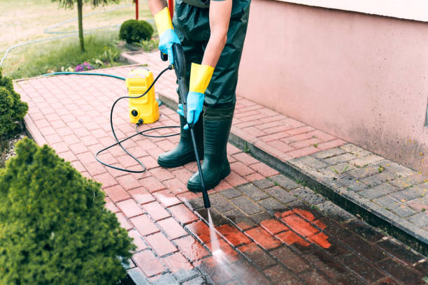 Best Driveway Pressure Washing  in Timber Pines, FL
